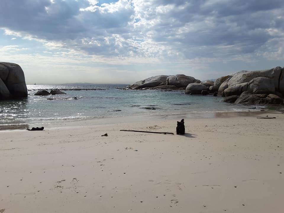 Apartmán Porcupine Walk Simonʼs Town Exteriér fotografie