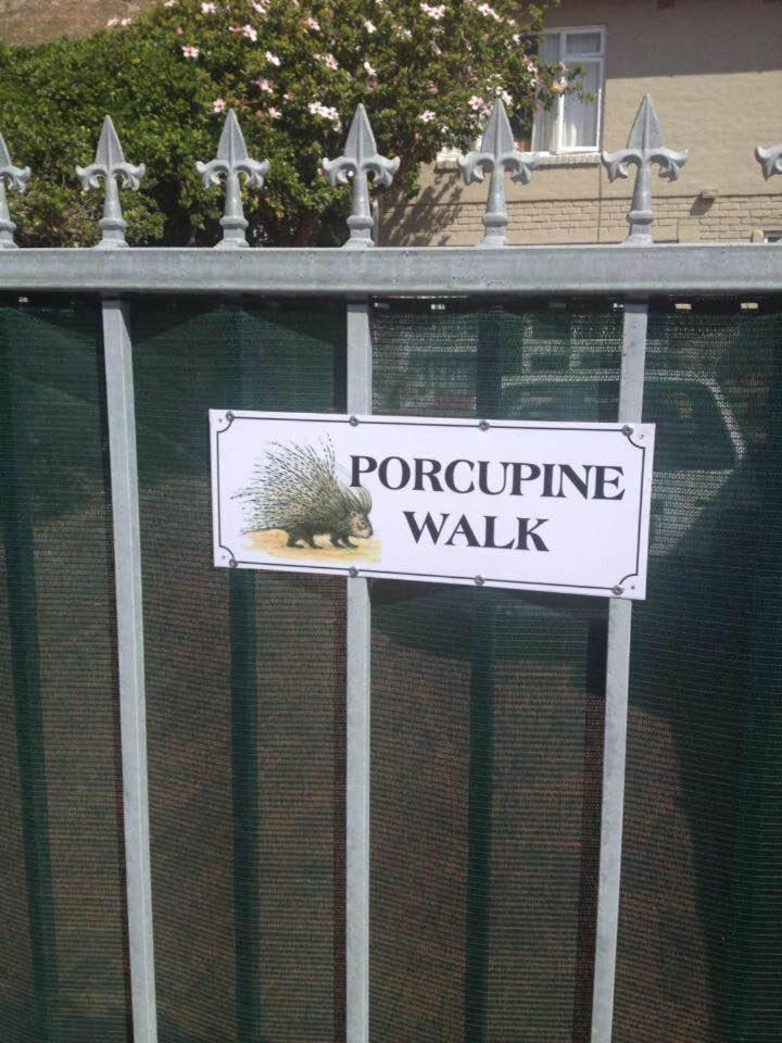 Apartmán Porcupine Walk Simonʼs Town Exteriér fotografie