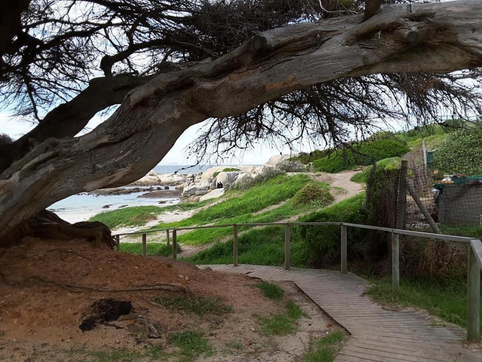 Apartmán Porcupine Walk Simonʼs Town Exteriér fotografie
